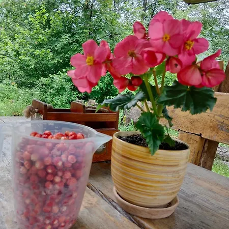 Apartmán House Menchul *