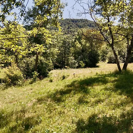 Appartement House Menchul