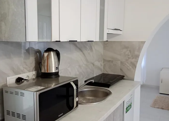 Апартаменты House Menchul *